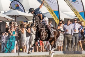 McLaren Gold Coast Polo By The Sea