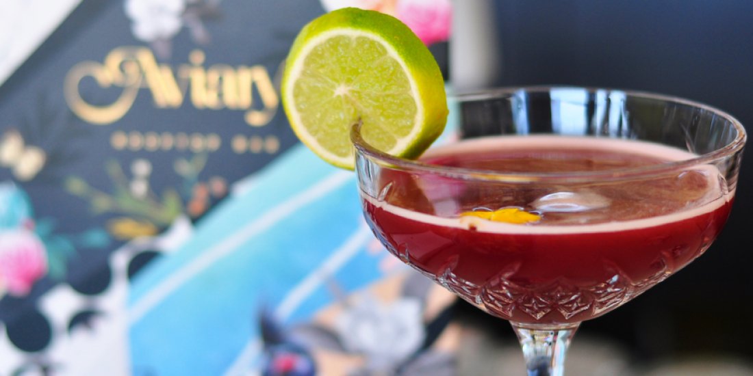 Sip kombucha cocktails at Southport's new rooftop bar Aviary