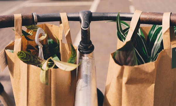 Get ready – Queensland’s plastic shopping bag ban goes into effect from July 1