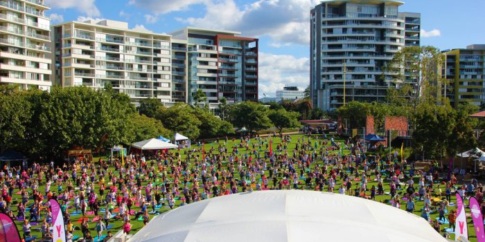 Yoga Day Festival