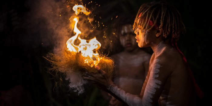 Twilight Experience at David Fleay Wildlife Park