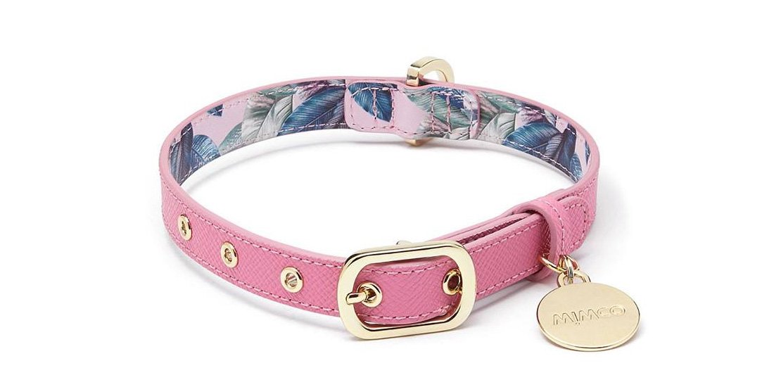 Dapper doggos – Mimco to launch a series of leather dog collars