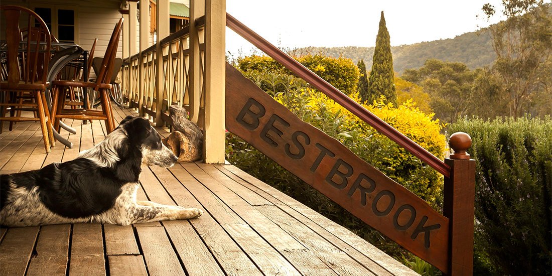 The Roadtrip Series: spend a weekend away at southeast Queensland’s picturesque farmstays