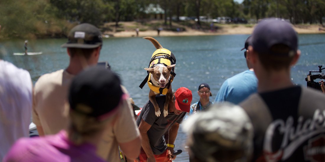 Pups on SUPS paddles back to the Gold Coast this October