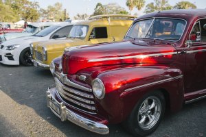 Gold Coast Hinterland Retro Picnic