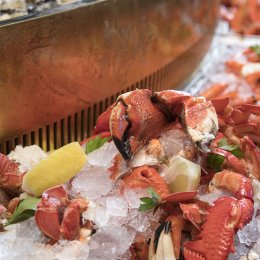 The Star Gold Coast unveils its newest dining destination Harvest Buffet