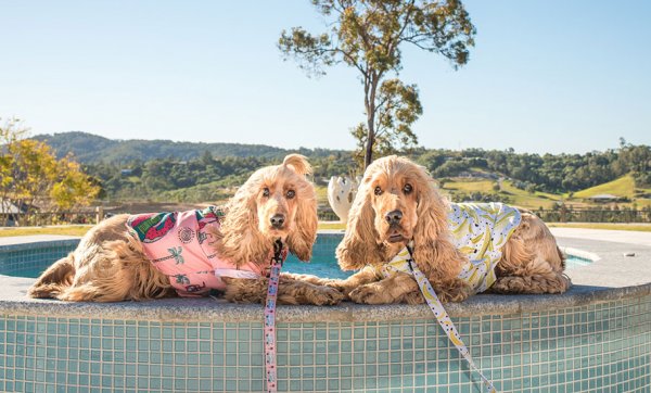 Match your best furry mate with threads and accessories from Pablo & Co.