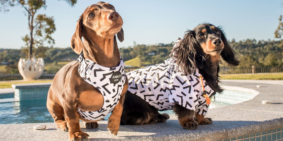Match your best furry mate with threads and accessories from Pablo & Co.