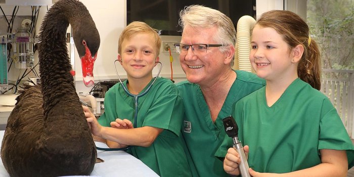 Currumbin Wildlife Hospital Open Day