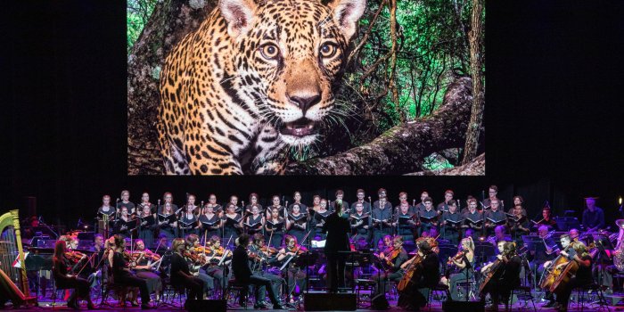 National Geographic – Symphony for Our World