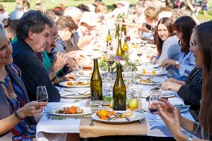 Scenic Rim Eat Local Week Longest Lunch at O'Reilly's Canungra Valley Vineyards