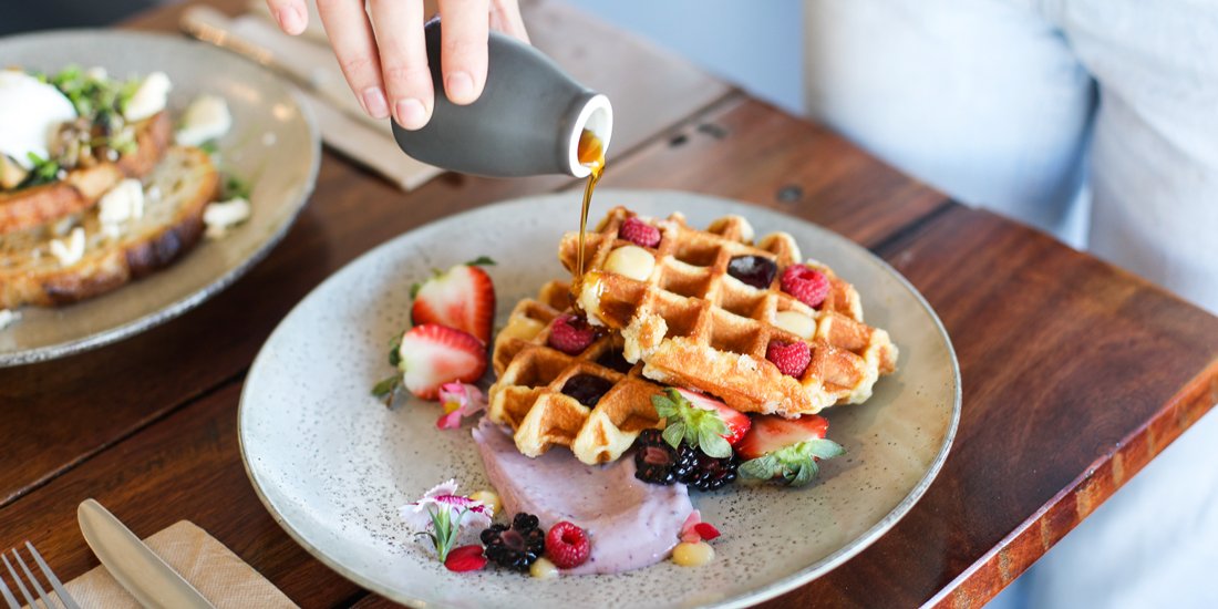 Bites, brews and neighbourhood vibes – Palm Beach welcomes newcomer Sisterhood Coffee