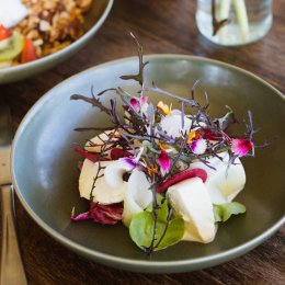 As fresh as it gets – Farm & Co puts its own produce on plates with its new on-site cafe