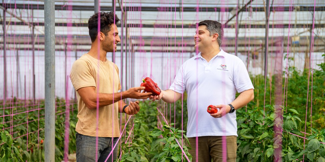 New food-delivery service Farm2Market brings produce from Australian farmers to your door