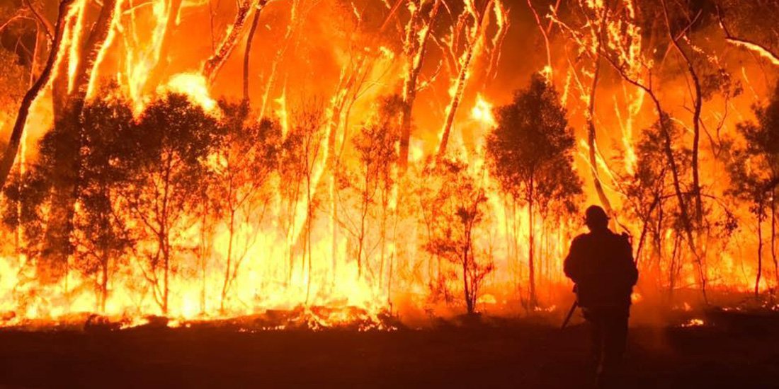 The most effective ways you can support bushfire relief efforts