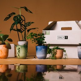 Get clay-zy with saniTEA DIY pot-making kits
