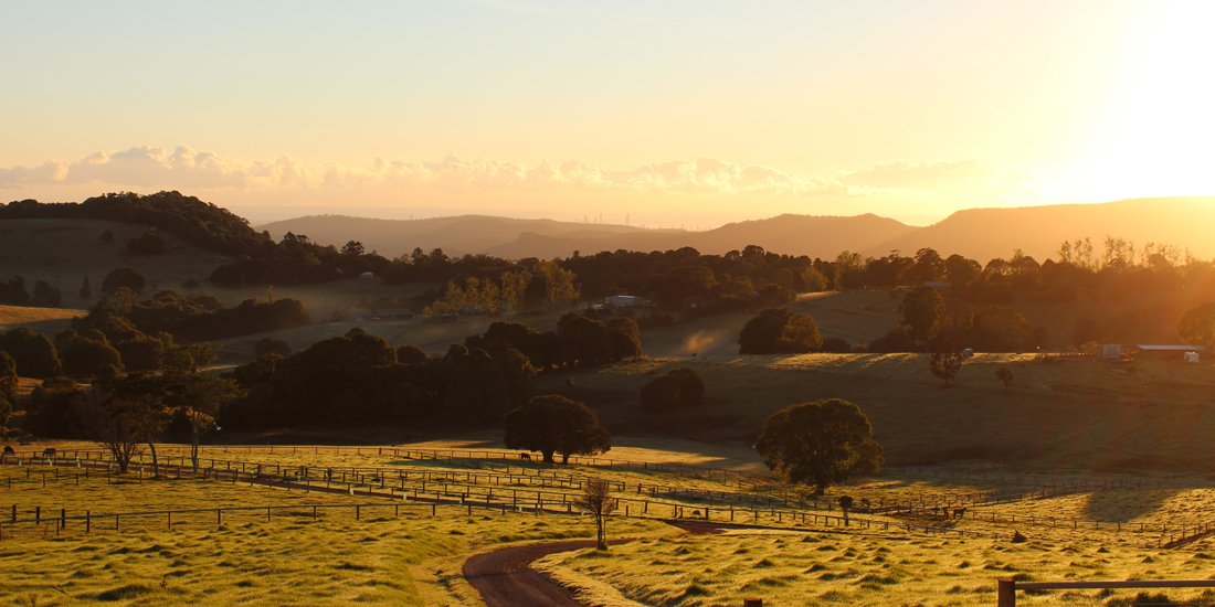 Post-pandemic positivity – Gold Coast hinterland set to flourish thanks to major Hazelwood Estate eco-tourism redevelopment