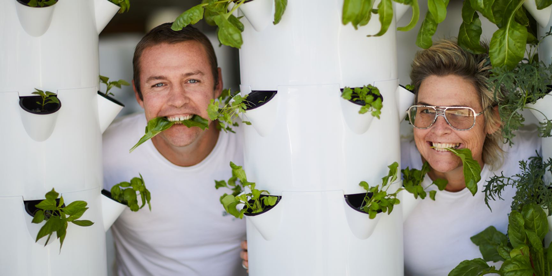 Grow your own produce (and a green thumb) with airgarden