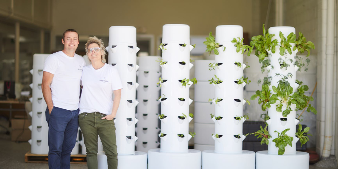 Grow your own produce (and a green thumb) with airgarden