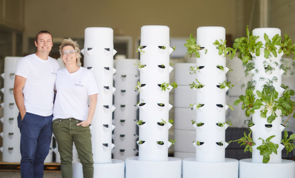 Grow your own produce (and a green thumb) with airgarden