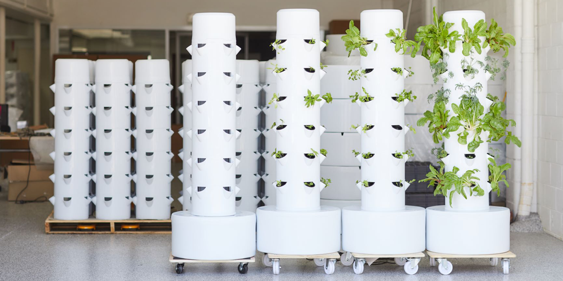 Grow your own produce (and a green thumb) with airgarden