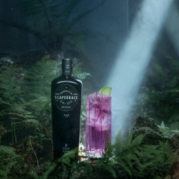 Live out your goth dreams with this colour-changing black gin