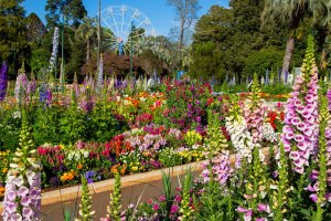 Toowoomba Carnival of Flowers