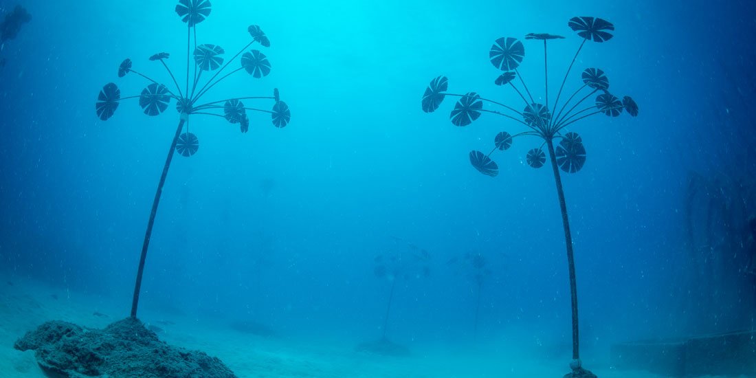 Discover a whole new world at Australia's first underwater museum