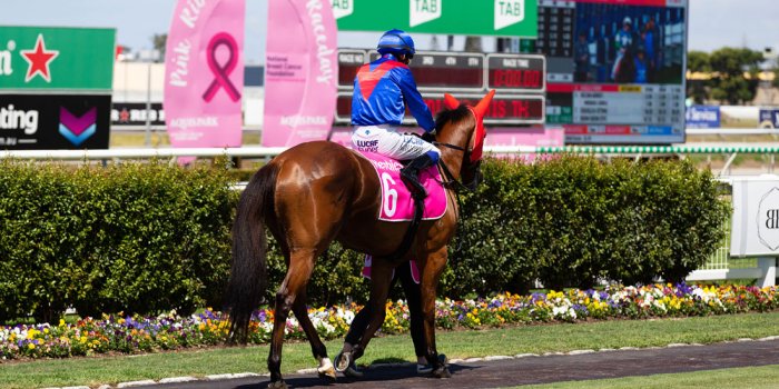 Birkbecks Jewellers Pink Ribbon Cup Raceday