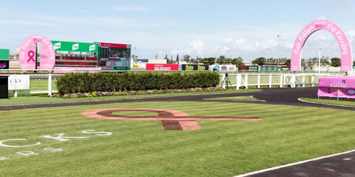 Birkbecks Jewellers Pink Ribbon Cup Raceday