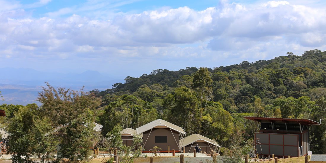 Need an escape? Gather around the fire pit at the new O’Reilly’s hinterland campground