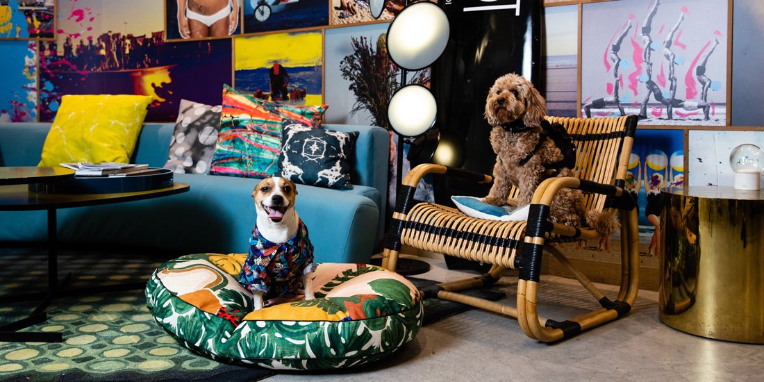 Pawdicures and doggy dinners – treat your fur baby to a luxe sleepover at QT Hotels & Resorts