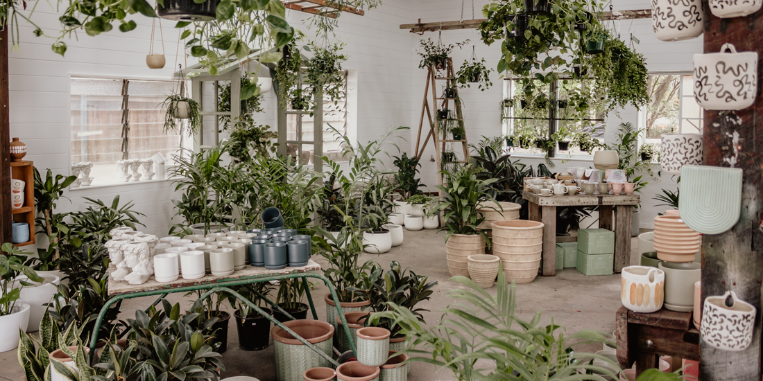 The Borrowed Nursery plants a new Brisbane location at Colwill Place