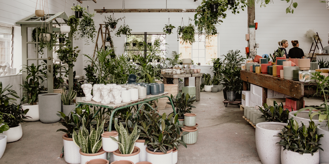 The Borrowed Nursery plants a new Brisbane location at Colwill Place