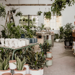 The Borrowed Nursery plants a new Brisbane location at Colwill Place