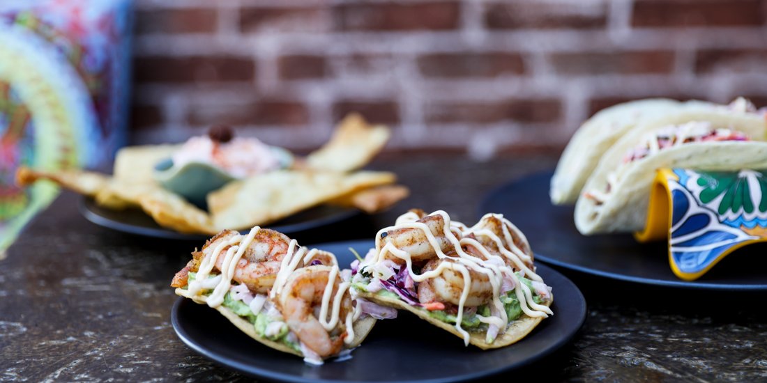 Hola! HolyJala brings tacos, tapas and tequila to Coolangatta