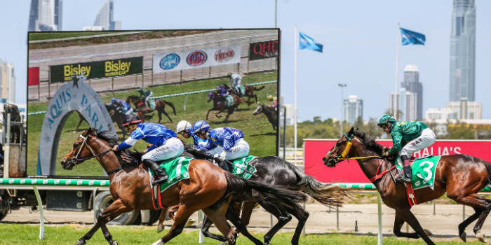 Boxing Day Races