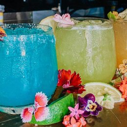 Marg it up at some of the coast's favourite bars in February