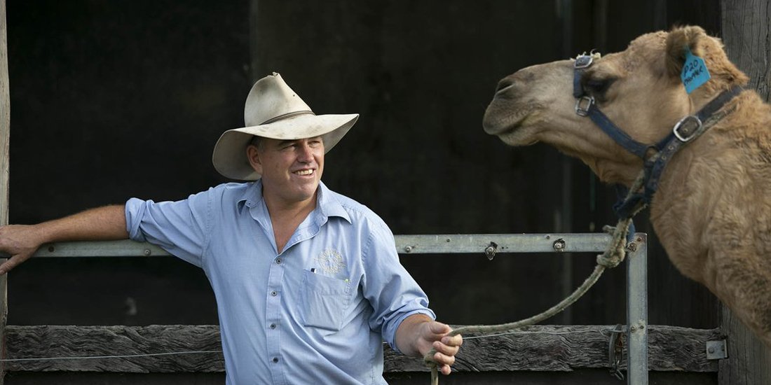 Hop on a hump and have sunset cocktails with camels at Summer Land Farm