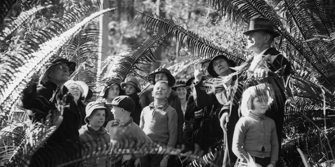 Explore the power of plants at State Library of Queensland's Entwined exhibition