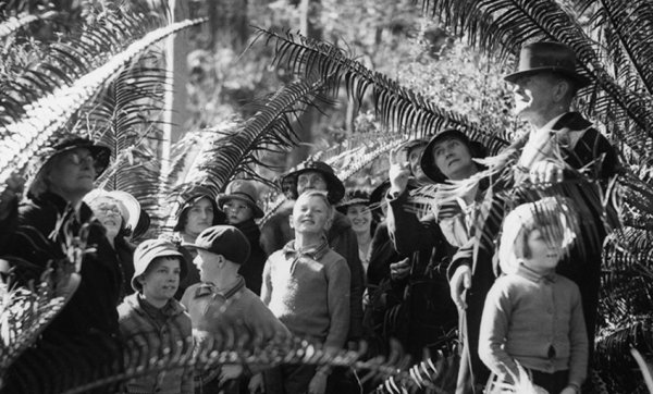 Explore the power of plants at State Library of Queensland's Entwined exhibition