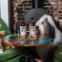 Lap up Sheep Dog’s newly launched peanut-butter whiskey