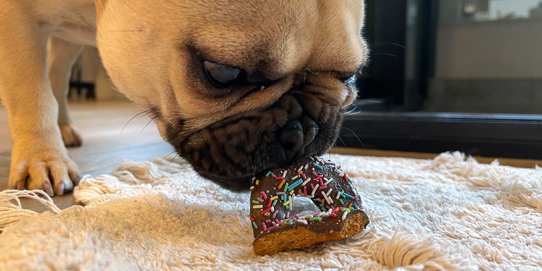 Get your paws on a box of Krispy Kreme's new Doggie Doughnuts