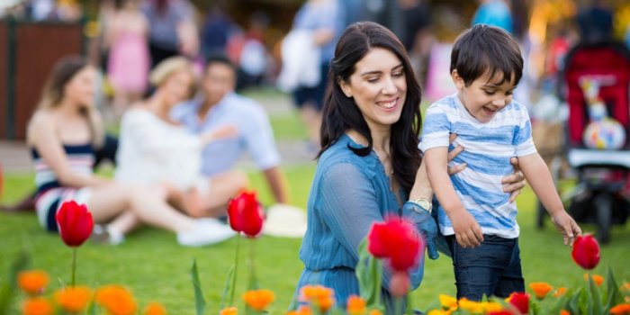 Toowoomba Carnival of Flowers