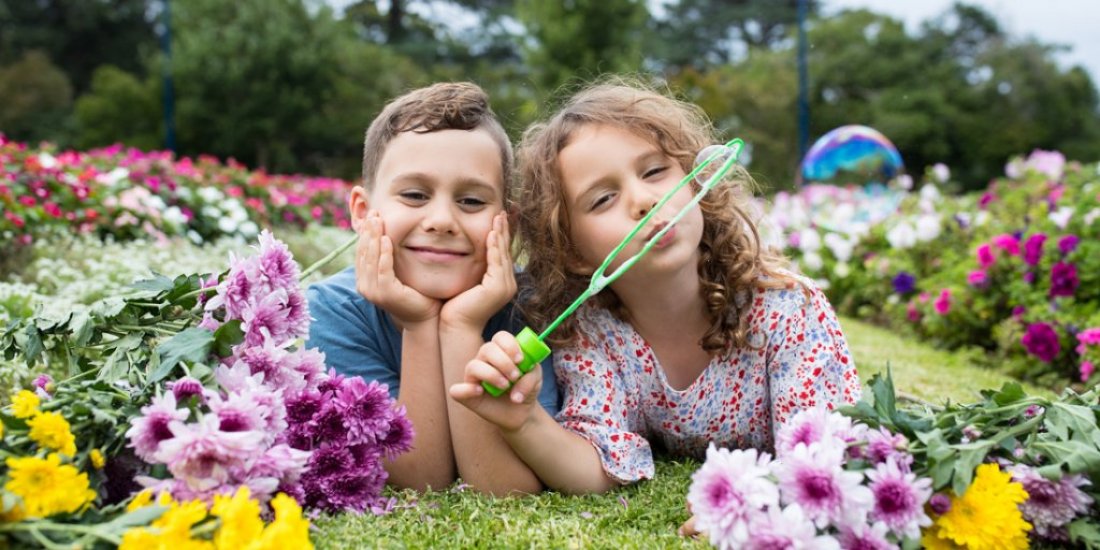 Petal power – our top five things to check out at Toowoomba Carnival of Flowers