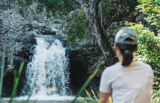 Pack your togs – where to go chasing waterfalls near the Gold Coast
