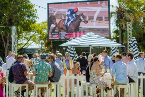 Melbourne Cup at Garden Kitchen & Bar