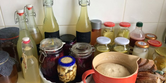 Fermented Food and Drinks Workshop at Biome