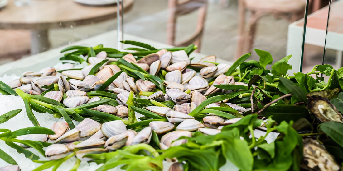 Renowned Sydney restaurateur Maurice Terzini opens his first Byron Bay venue, Belongil Beach Italian Food