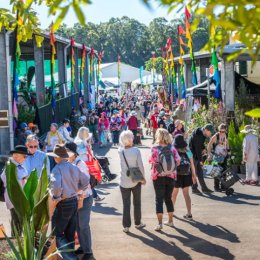 Green thumbs up for this plant-filled weekend on the Sunshine Coast